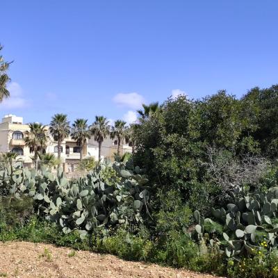 2026 03 19 22 MAlta Tanulmanyut Honlapra 16